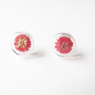 * Rosy Garden * Dried flowers red Anaphalis sinica round glass earring
