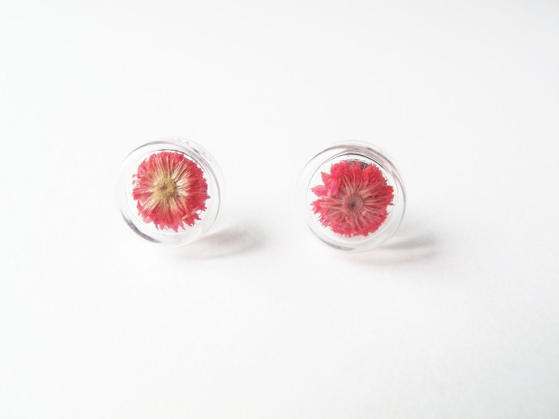＊Rosy Garden＊櫻紅色小香青乾燥花圓形玻璃耳環 可換耳夾 - 耳環/耳夾 - 玻璃 紅色