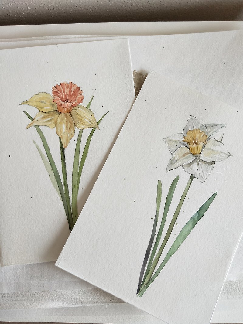 Daffodil watercolor botanical art - Other - Paper 