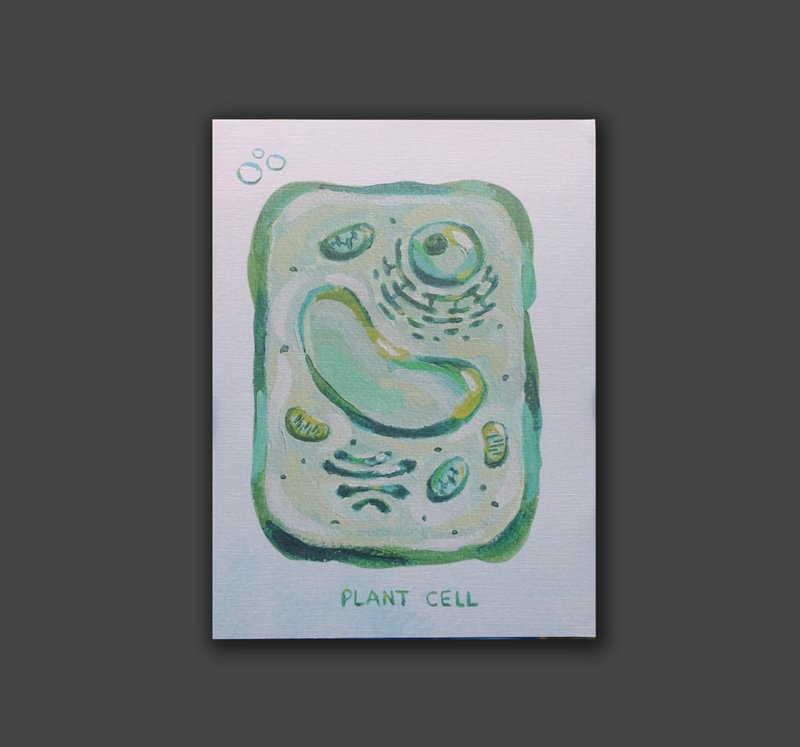 Plant cells postcard - การ์ด/โปสการ์ด - กระดาษ สีเขียว