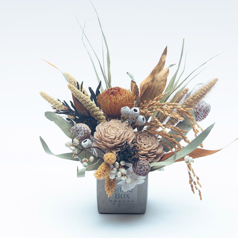 摩卡暖棕盆花 聖誕節  交換禮物 聖誕佈置 生日禮物 開幕志慶 - 乾燥花/永生花 - 植物．花 