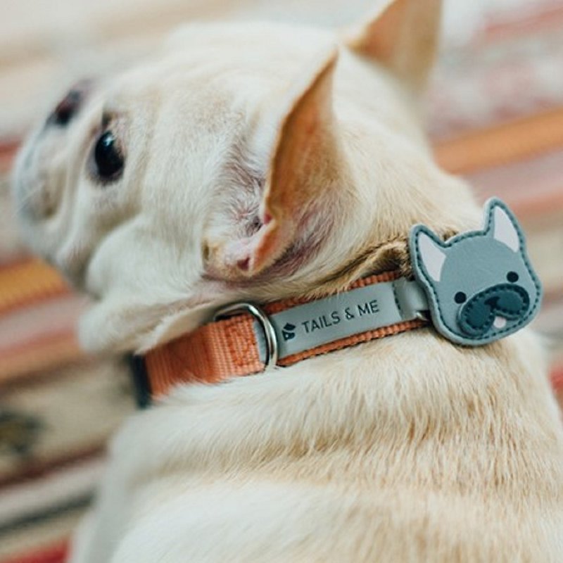 [Tail and Me] Exclusive accessories dog head series law fighting black - ปลอกคอ - วัสดุอื่นๆ สีดำ