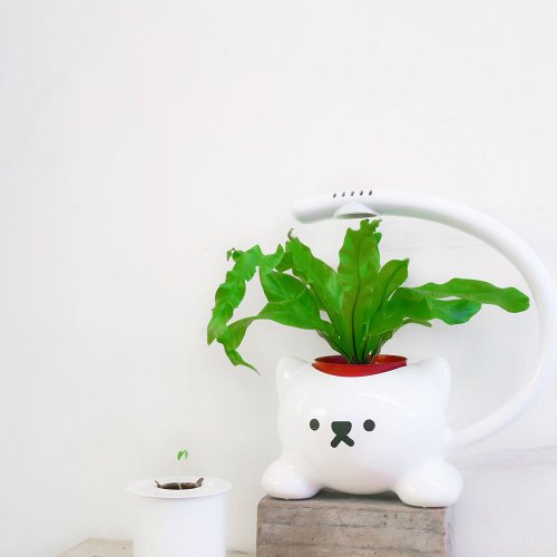 這一刻 Light up the cat 貓造型LED植物栽培燈