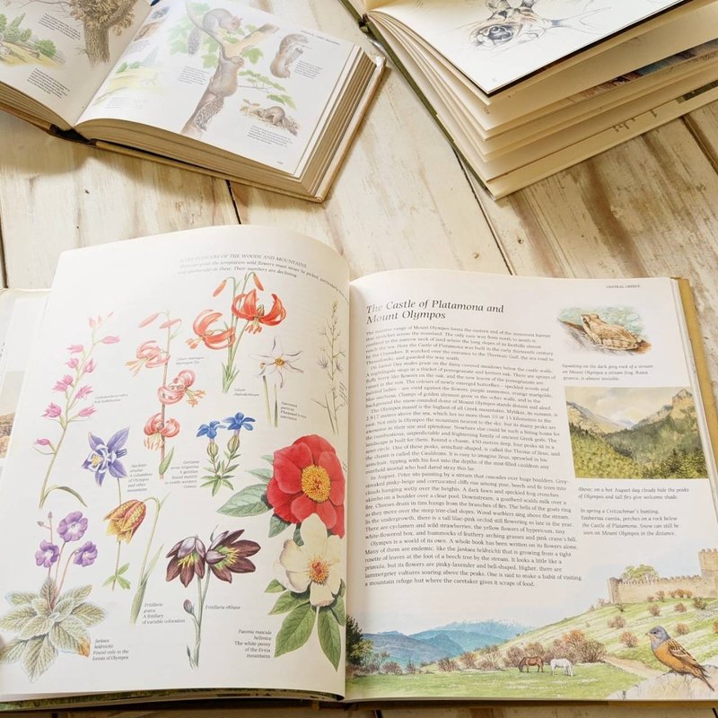 Traveling to Greece with a wildlife painter/old books/ancient books/illustrated books/flower art - Indie Press - Paper Yellow