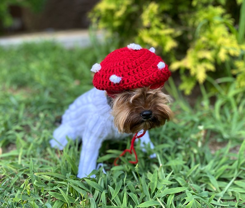 Acrylic Clothing & Accessories Red - Mushroom dog hat ,  Puppy hat / Dog beanie / Hat for small dogs