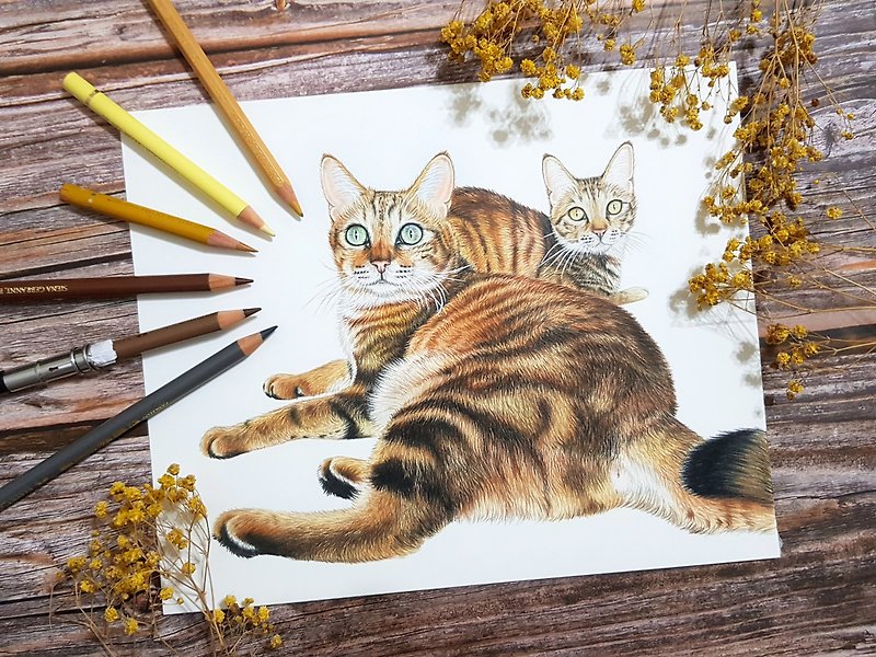 [Color pencil hand-painted] 10-inch custom pet portrait like Yan painted hand-painted pet portrait - โปสเตอร์ - กระดาษ 