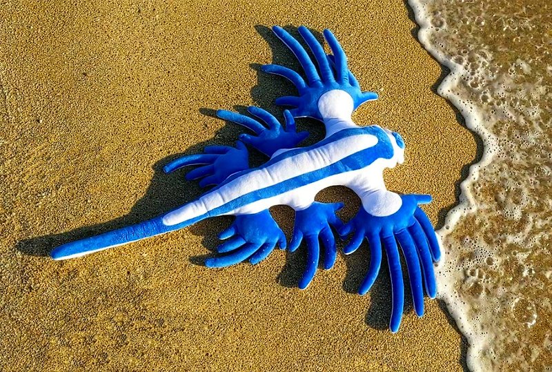 絨毛布偶 大西洋海神海蛞蝓 巨大 台灣海洋生物 藍色 療癒 - 玩偶/公仔 - 聚酯纖維 藍色