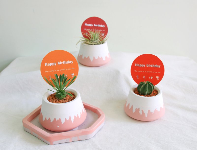 PINK Mount Fuji Cement potted wedding souvenir corporate gift - ตกแต่งต้นไม้ - ปูน สึชมพู