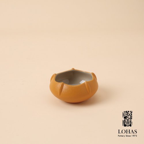 茶器ギフトセット】陸宝（Lohas Pottery） 風生水起茶器セット 1ポット