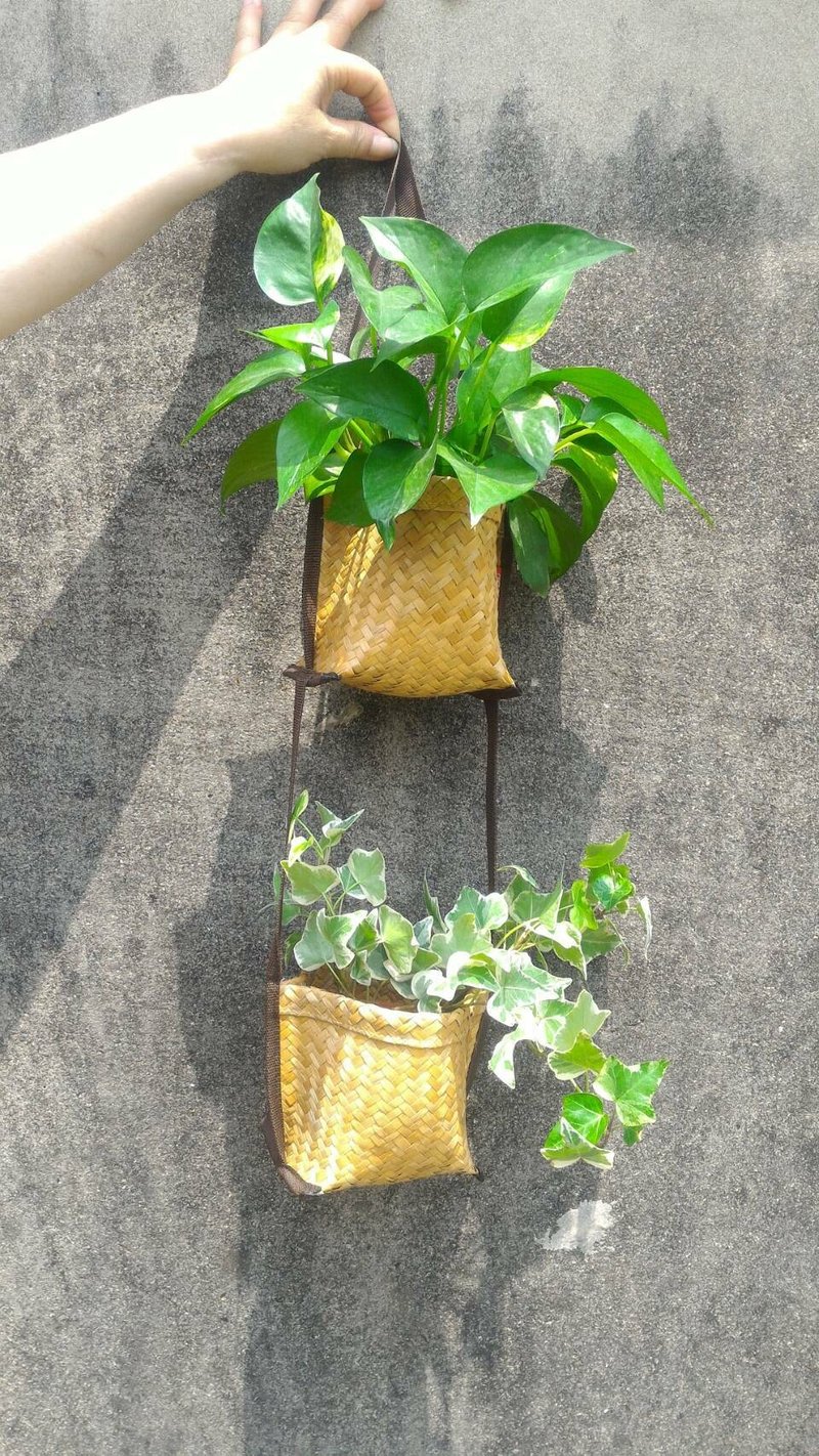 Laminated double hanging basket - Plants - Plants & Flowers Multicolor