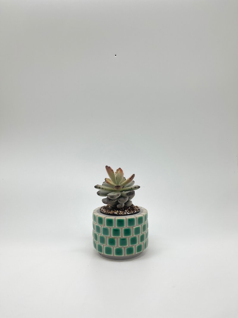 Ice glaze mosaic flower vessel/small - Pottery & Ceramics - Cement Green