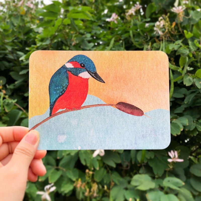 Hong Kong wild bird common kingfisher watercolor illustration postcard - Cards & Postcards - Paper Blue