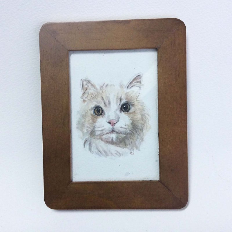『水彩畫』 金吉拉 長毛貓  手繪原稿 （含框） - 壁貼/牆壁裝飾 - 紙 卡其色