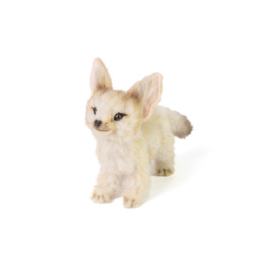 Hansa fennec fox online