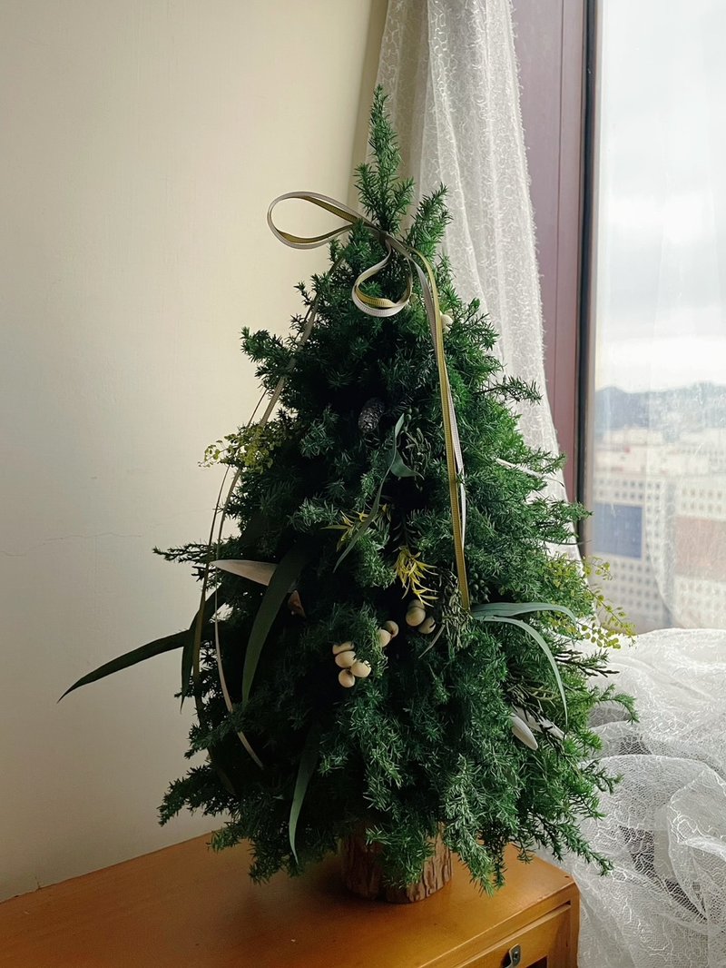 【永生聖誕樹】2025植草系聖誕樹 - 乾燥花/永生花 - 植物．花 綠色