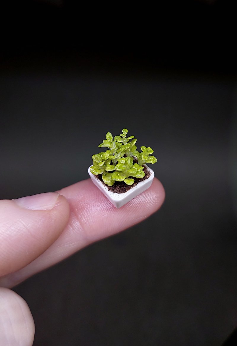 Miniature potted greens, 1:12 potted seedlings, Dollhouse plants, micro plants