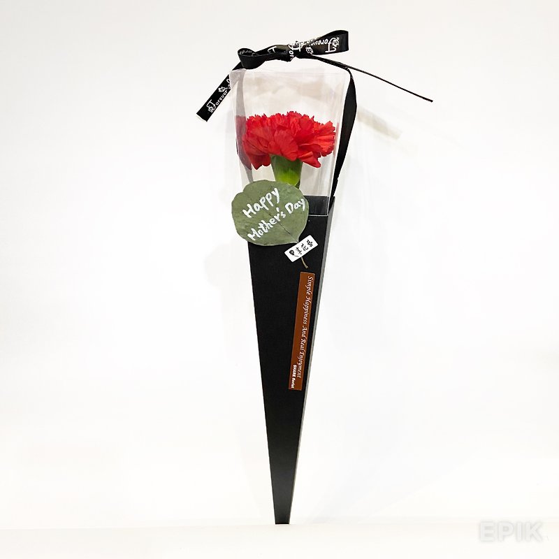 單朵紅康乃馨 黑花盒|可自取 - 植物/盆栽/盆景 - 植物．花 