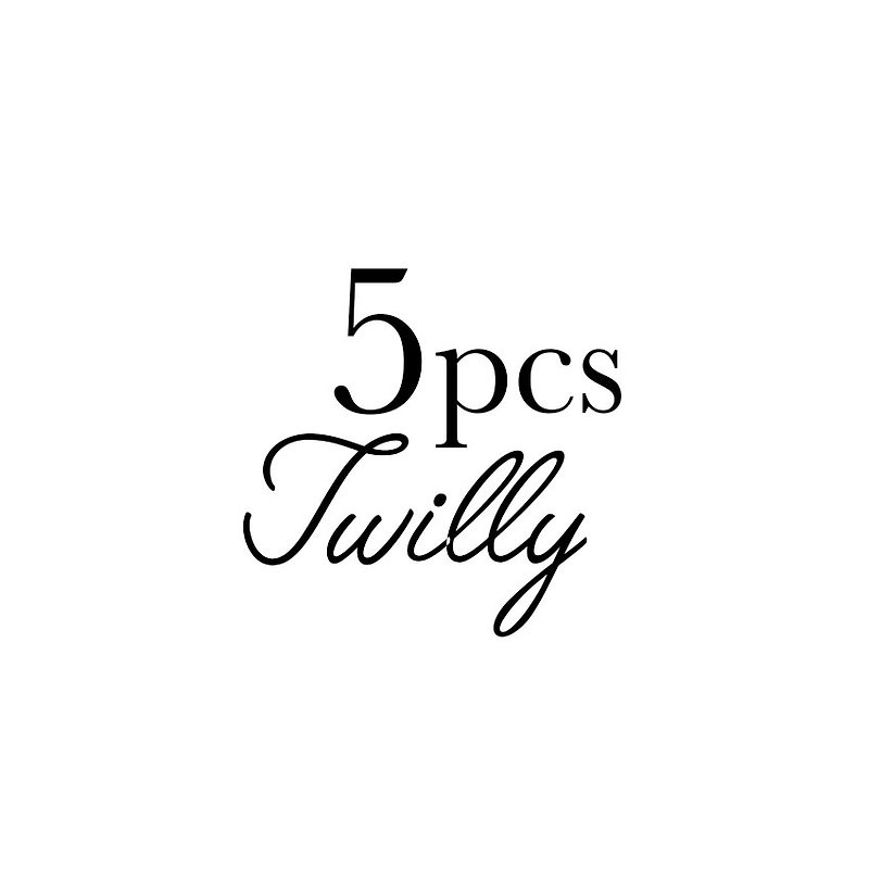Set of 5 pcs Twilly - Scarves - Silk Multicolor