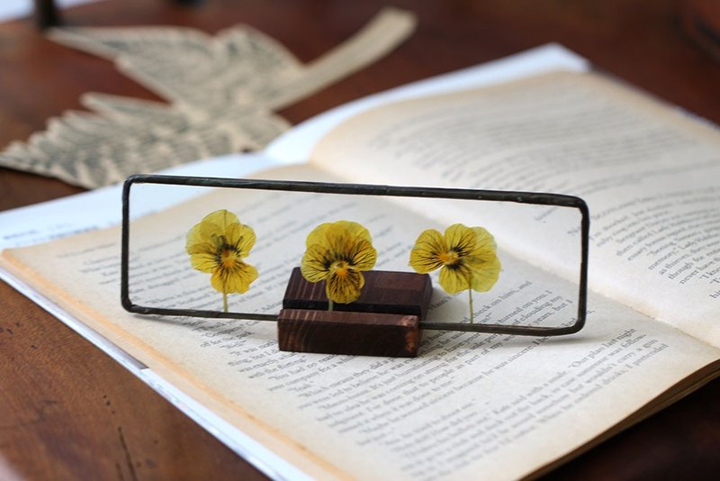 Plant Illustrated∣Tiger's Eye Cinnamon∣Glass Inlay∣Flower Herbarium - Dried Flowers & Bouquets - Plants & Flowers White