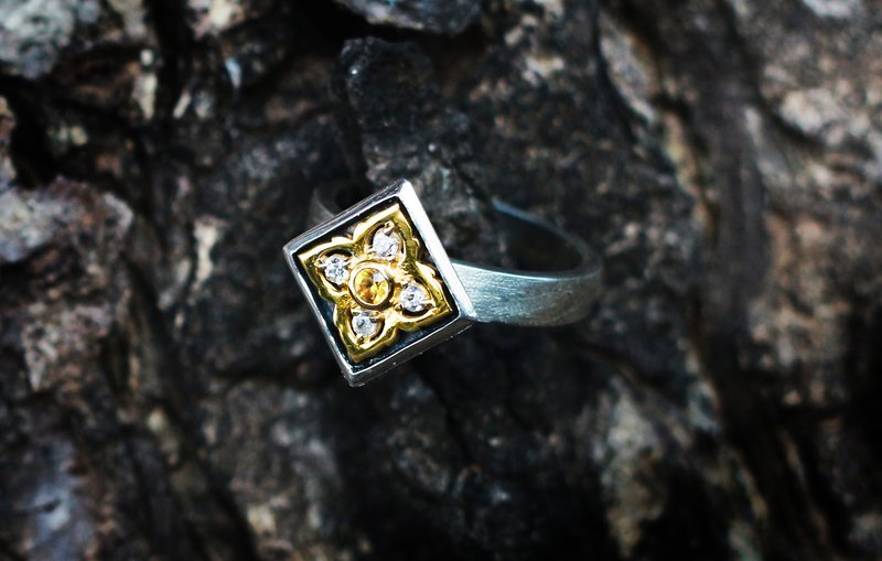 Love princess ring ,unique gifts with meaning - 戒指 - 寶石 金色