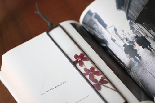 iLife 手感設計 植物圖鑑∣使君子花∣玻璃鑲嵌∣花草標本書籤