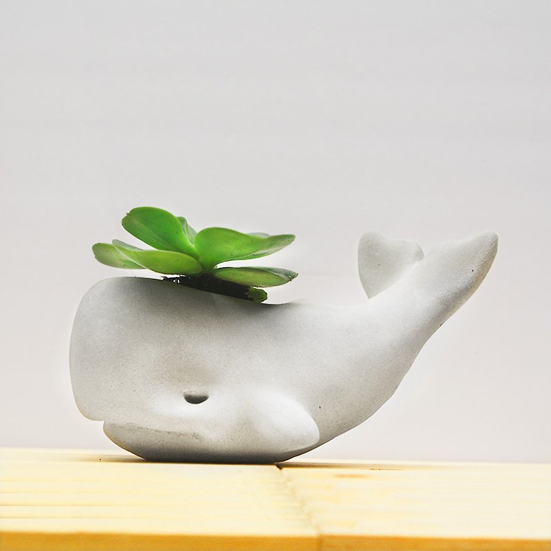アイランドクジラ - ペンケース - 植木鉢 - 置物 - 紙 グレー