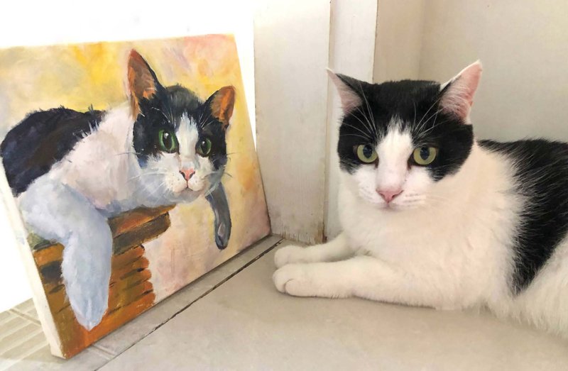 Pet Portrait│Customize Oil Painting│22 x 27 cm - หมอน - ผ้าฝ้าย/ผ้าลินิน สีเหลือง