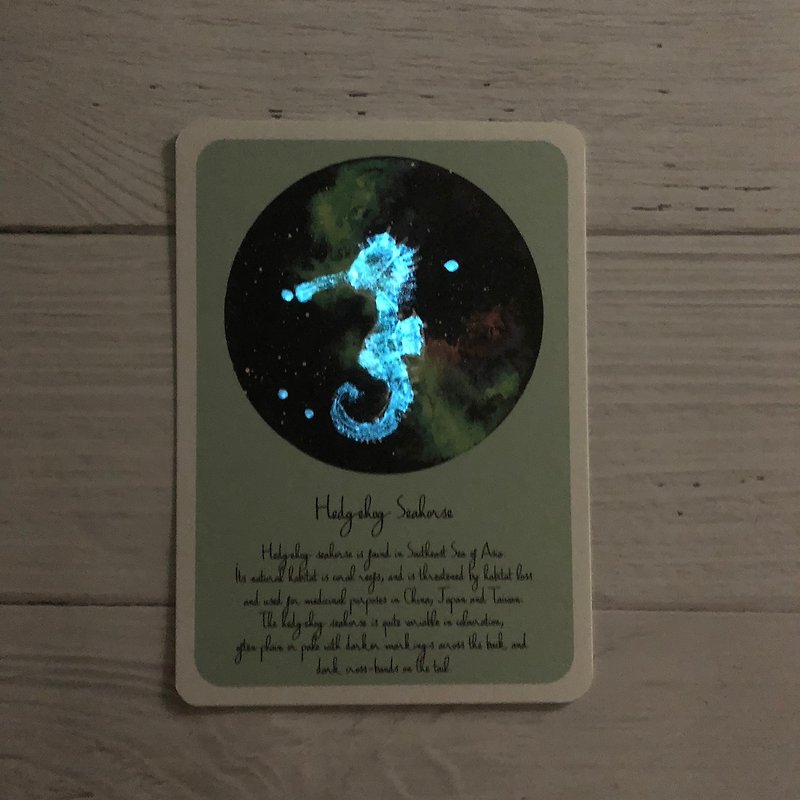 Spiny Seahorse Starry Sky Postcard (Fluorescent) - การ์ด/โปสการ์ด - กระดาษ 