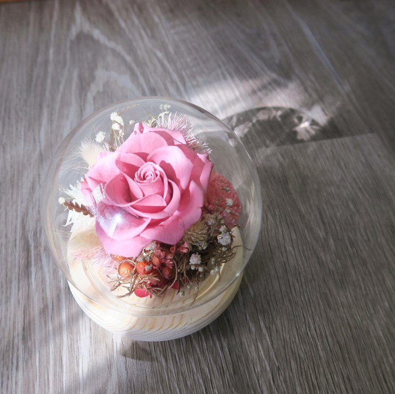 Timeless Garden/ Glass Cover Preserved Flower Dried Flower Gift Home Decoration Photo - ช่อดอกไม้แห้ง - พืช/ดอกไม้ สีแดง