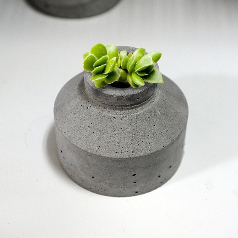 Cement flower. Flower pot. Potted plant - จัดดอกไม้/ต้นไม้ - ปูน 