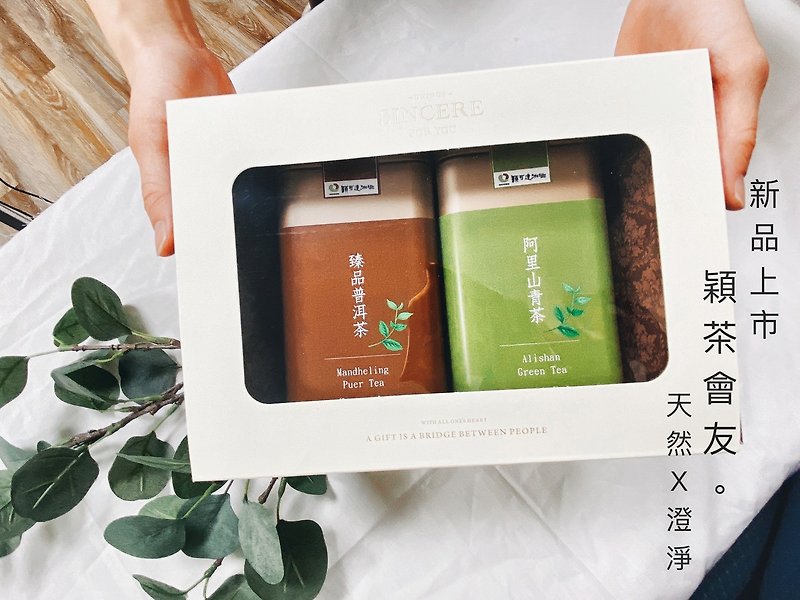 Yingcha Huiyou's best-selling double tea combination - ชา - วัสดุอื่นๆ 