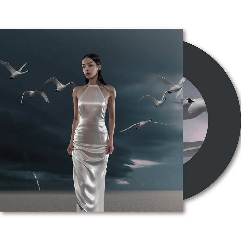 TINYL Liu Baixin Lexie, how about a good 3-inch vinyl record - อื่นๆ - พลาสติก 