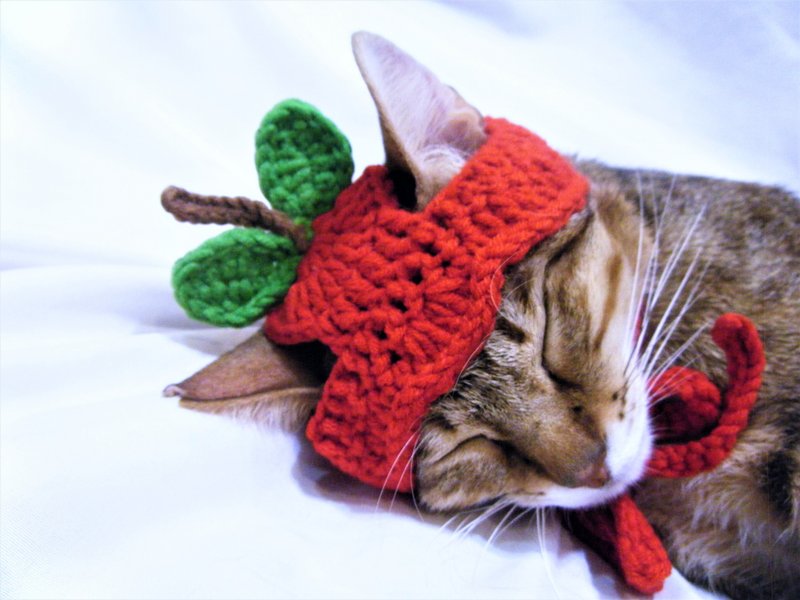 Wool knitted cat and dog hat fruit pet hat apple - Clothing & Accessories - Other Materials Red