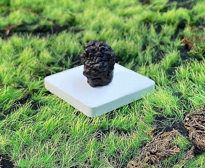 天然埃及預言石造型原礦 心靈平靜石 平撫情緒 快速出貨 - 擺飾/家飾品 - 水晶 咖啡色