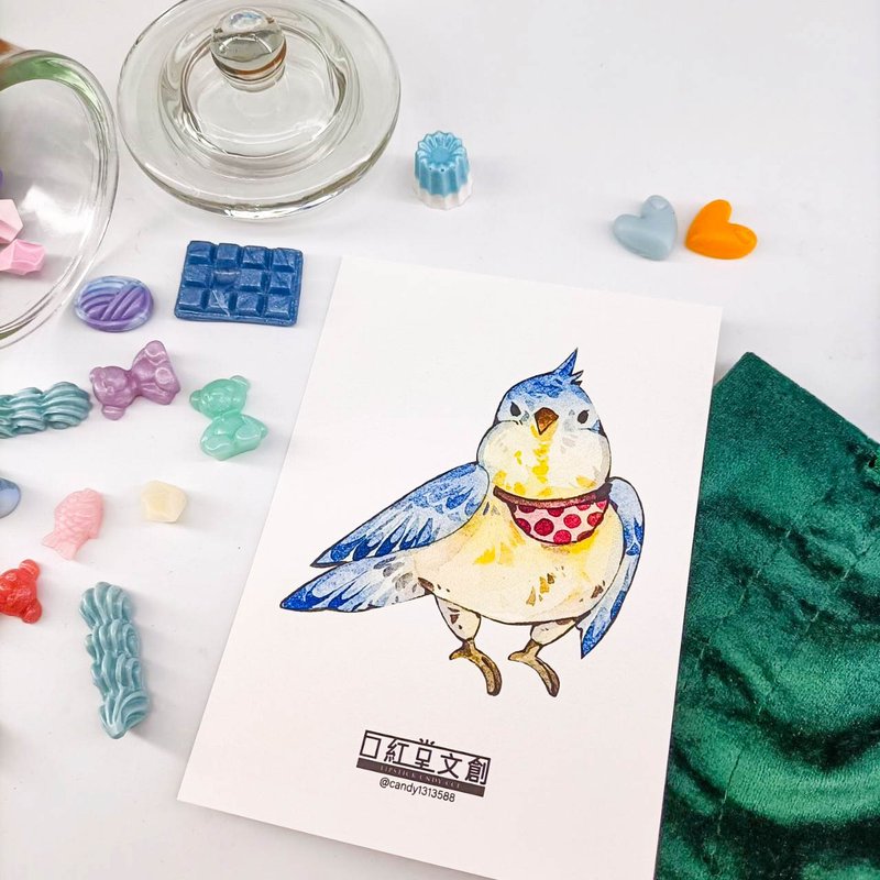 KR474_口紅堂明信片_鸚鵡16_candy1313588 postcard - 卡片/明信片 - 紙 多色