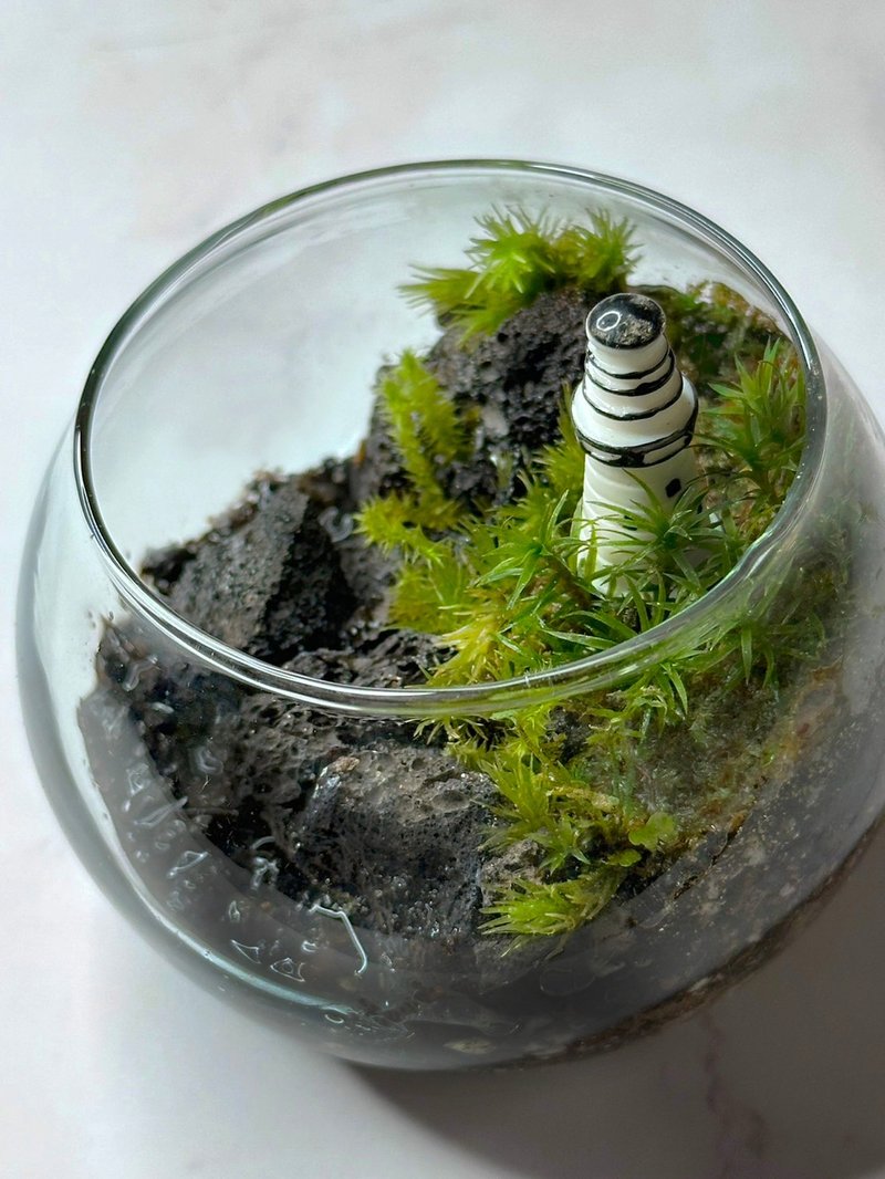 New product launch-Super mini hand-held micro-landscape ecological basin – Lighthouse Watch - ตกแต่งต้นไม้ - พืช/ดอกไม้ 