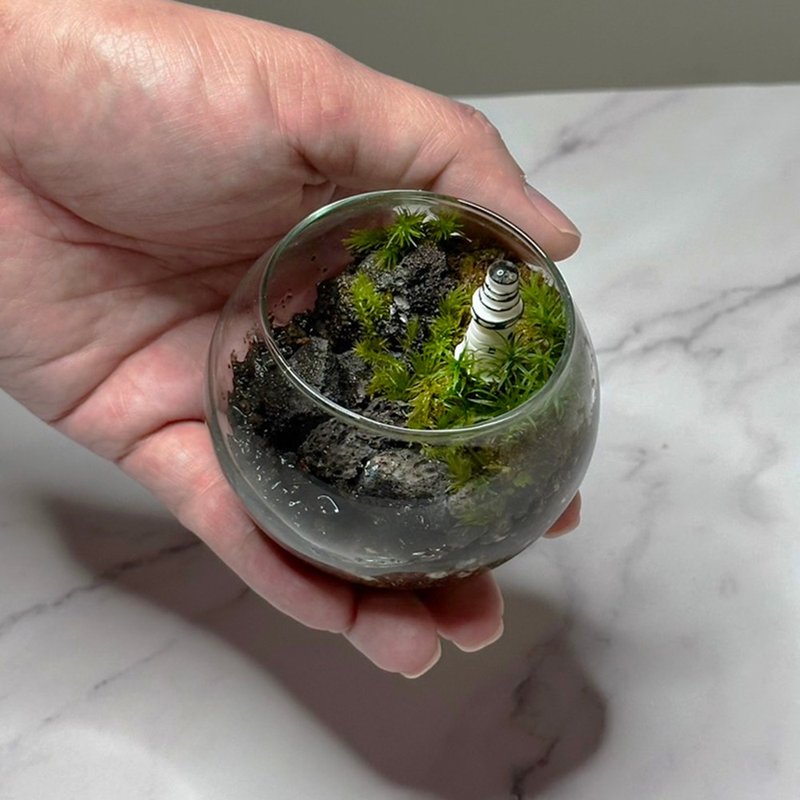 新品上市 燈塔守望 / 超迷你掌上型手工微景觀生態盆 - 盆栽/植栽 - 植物．花 