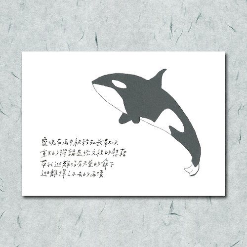 一把蔥 雜燴工作室 動物與牠的詩14/ 虎鯨/ 手繪 /卡片 明信片