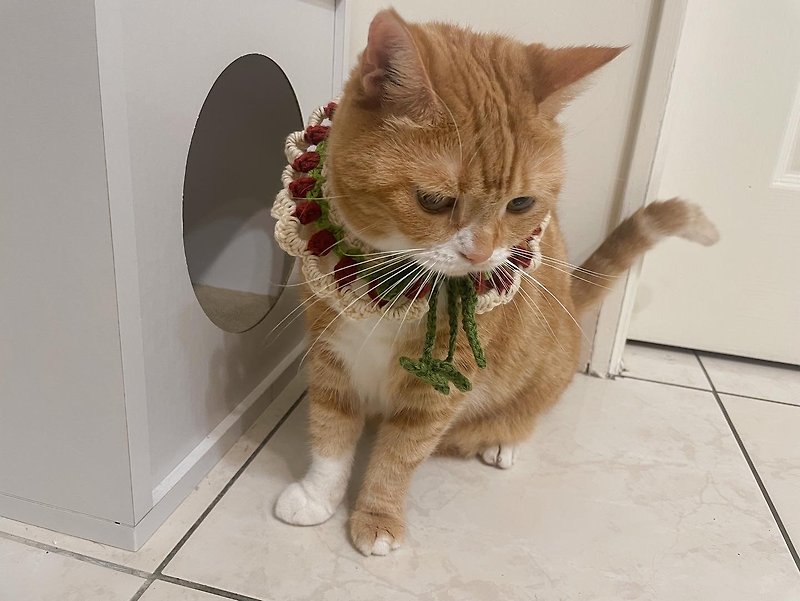 Kitty Cat | Braided Pet Collar - ปลอกคอ - ผ้าฝ้าย/ผ้าลินิน 