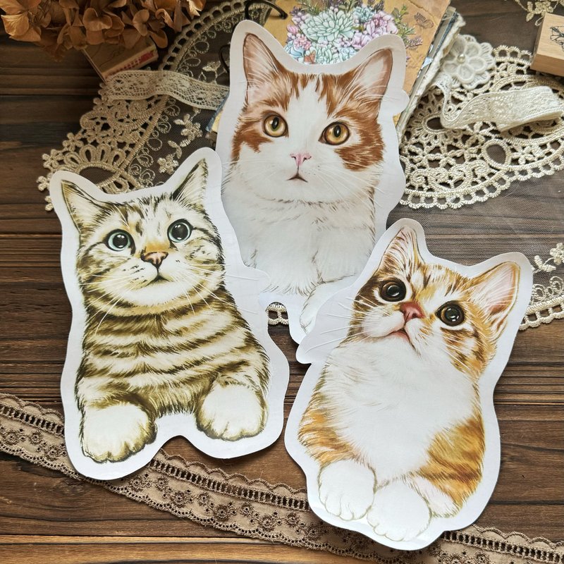 Customization ‧ Cat Daily Transparent waterproof sticker - Stickers - Waterproof Material 