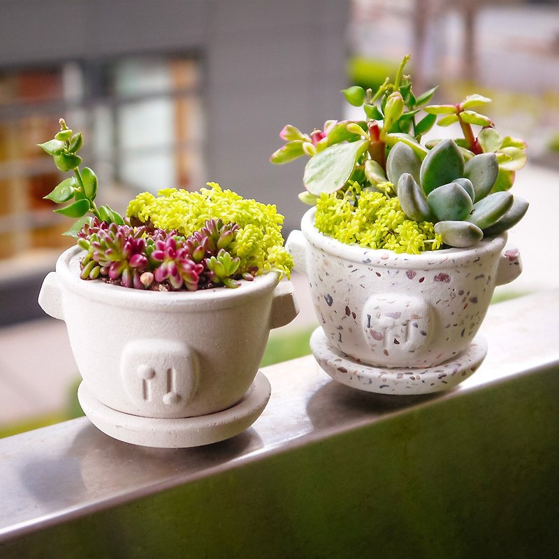 Cement pots | Qingpu design models: mini electric pot 2 into | without plants - Plants - Cement White