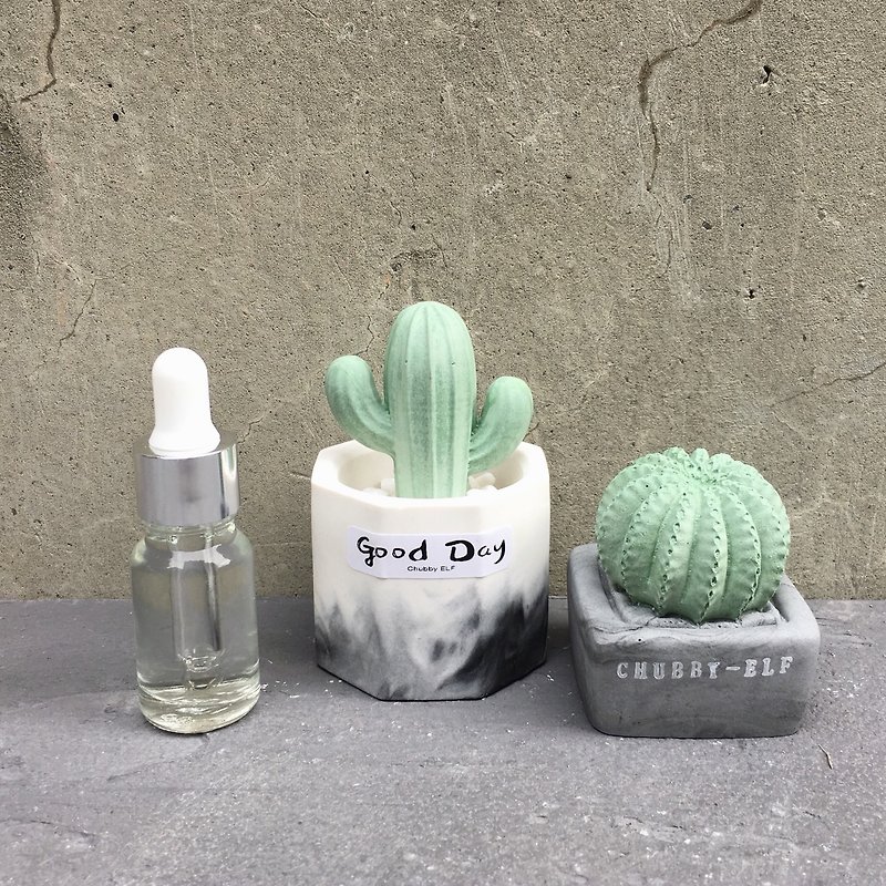 Cactus Fragrant Stone Combination + Flavor 10ml - Fragrances - Other Materials Green