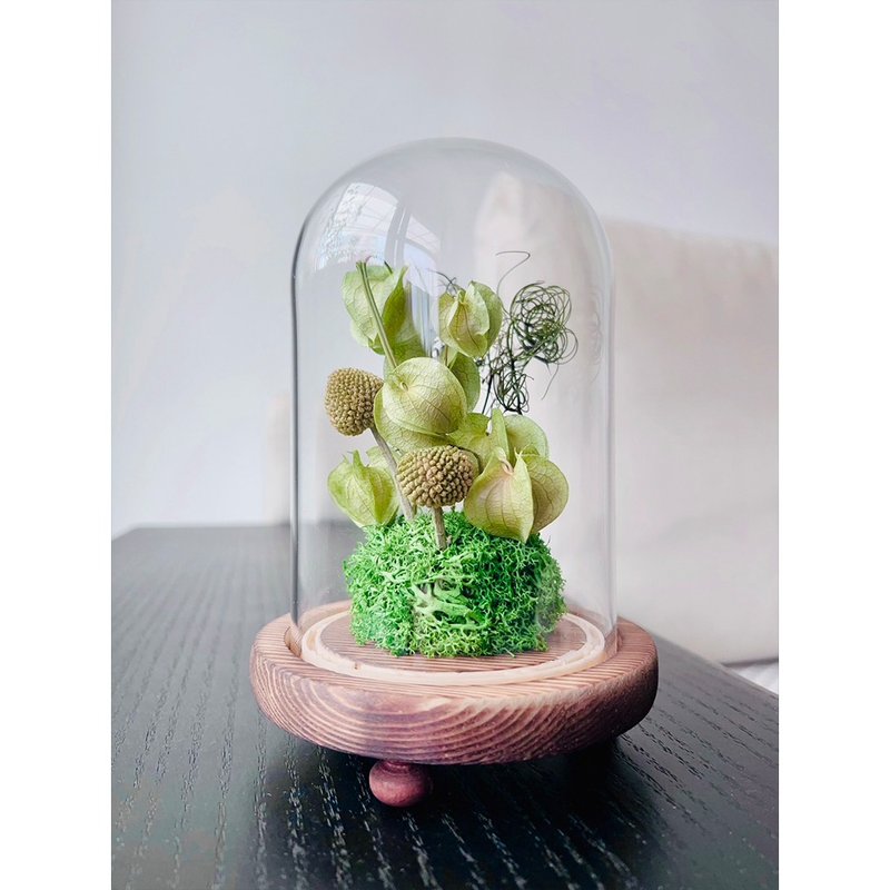 Green Shade Lights/Lanterns with Preserved Flowers/Gifts/Festival Gifts/Comes with Gift Box and Small Card - Dried Flowers & Bouquets - Plants & Flowers Green