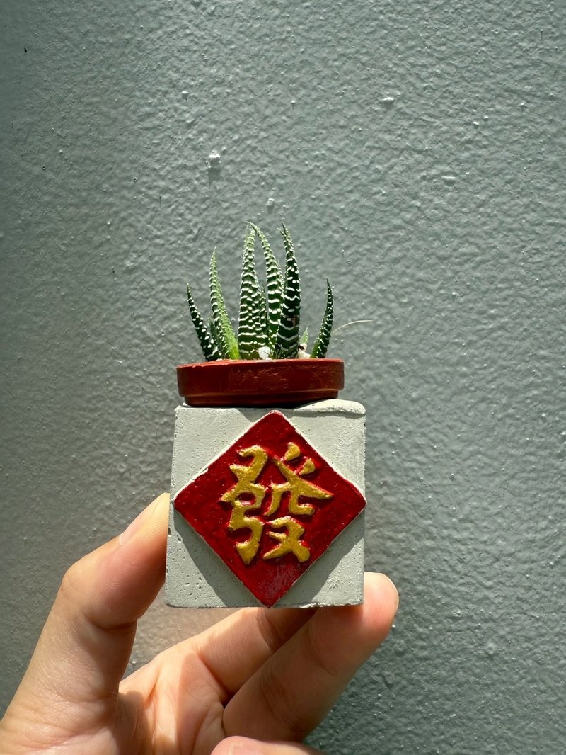 發  紅通通!!新年磁鐵盆栽 送多肉 - 盆栽/植栽 - 水泥 紅色