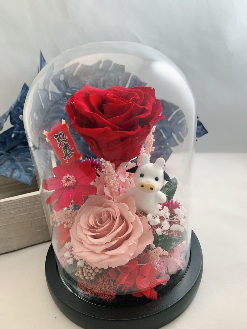 New Year's Merchandise Preserved Flower Cup Ecuadorian Large Rose - ช่อดอกไม้แห้ง - พืช/ดอกไม้ สีแดง