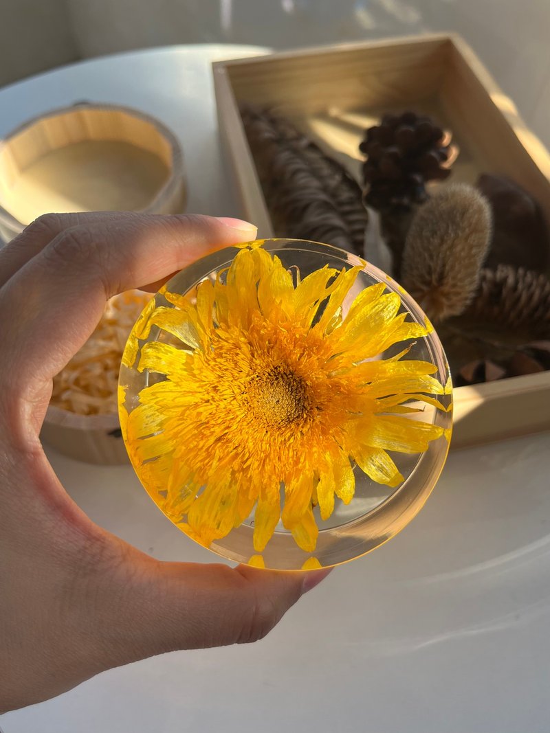 Teddy Bear Sunflower Dried Flower Specimen Gift - ของวางตกแต่ง - เรซิน สีส้ม