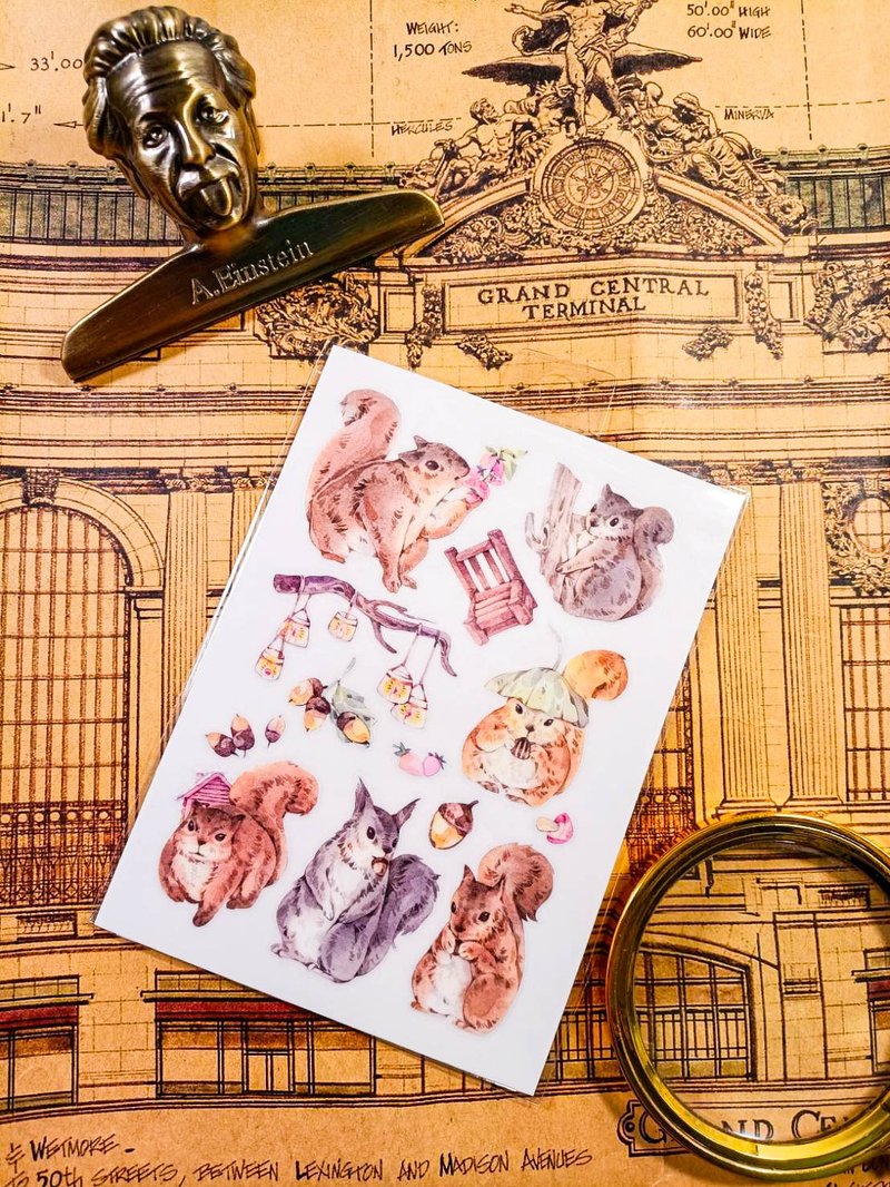 KR521_Cute Animals_msquirrel.C Transfer Stickers/轉印貼紙 - 貼紙 - 塑膠 