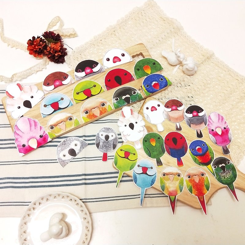 Rolia's hand made parrot waterproof sticker (set B-14 full set) - Stickers - Paper Multicolor