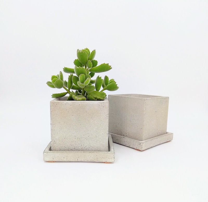 [Square pot set] Cement flower/ Cement potted plant/ Cement planting (without plants) - ตกแต่งต้นไม้ - ปูน สีเทา