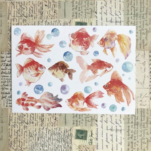 梅刺插畫設計工作室 金魚之歌-明信片
